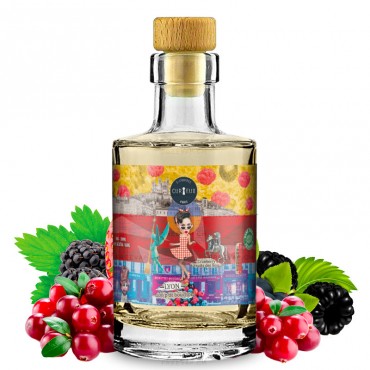 Lyon Mon Ptit Bouchon Sammleredition - 200ml Shortfill - Hexagone Curieux